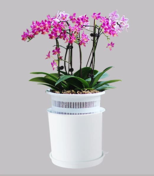 15 Kit n 3 Vasi Trasparenti per Orchidee diam