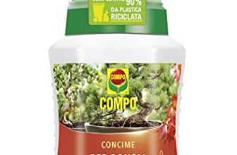 I migliori 7 Concimi per Bonsai