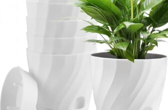 I migliori 7 Vasi Autoirriganti