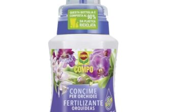 I migliori 7 Concimi per Orchidee