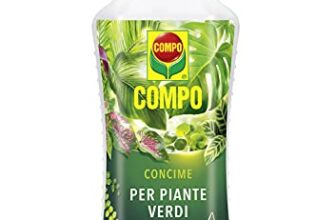 I migliori 7 Concimi per Piante da Interno