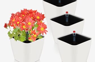 I migliori 7 Vasi Autoirriganti