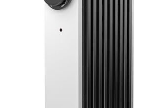 Le migliori 7 Stufe a Olio