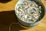 I Migliori 7 Essiccatori per Funghi