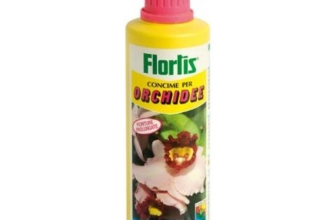 I Migliori 7 Concimi per Orchidee