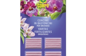 I Migliori 7 Concimi per Orchidee