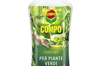 I Migliori 7 Concimi per Piante da Interno