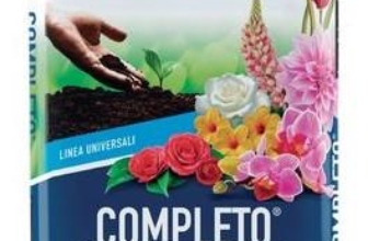 I Migliori 7 Terricci Vigorplant